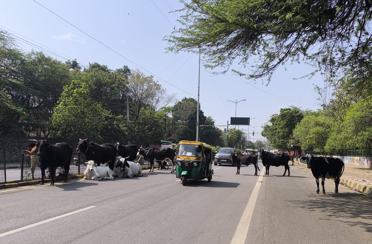 Aditya Tanwar tweet media