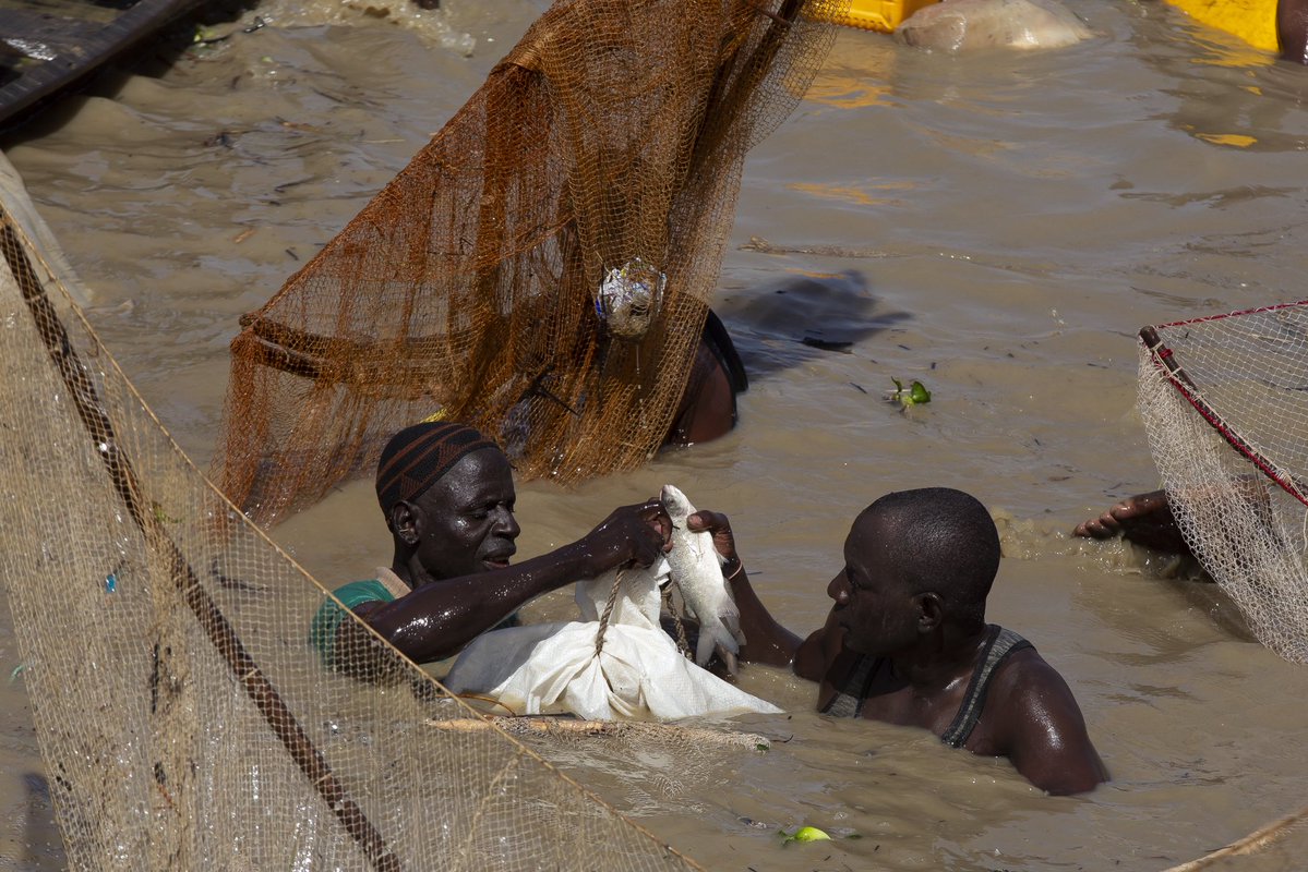 Mannyvisuals tweet media