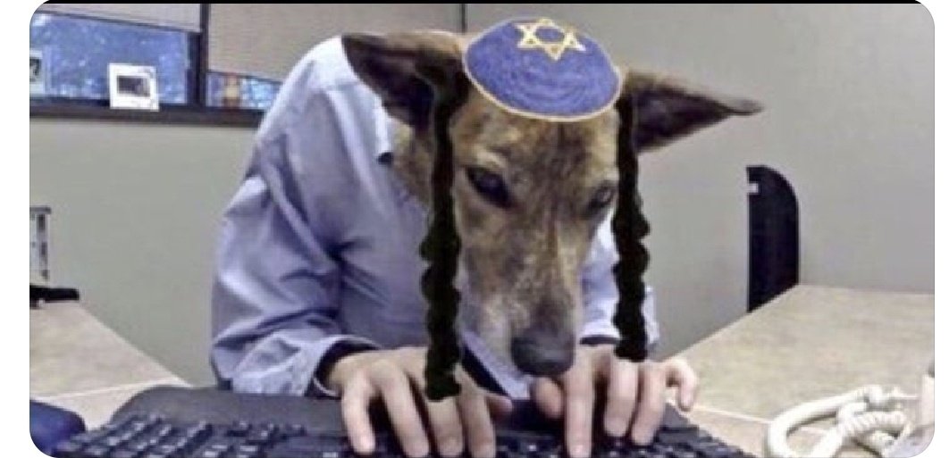 مصطفی طالقانی tweet media