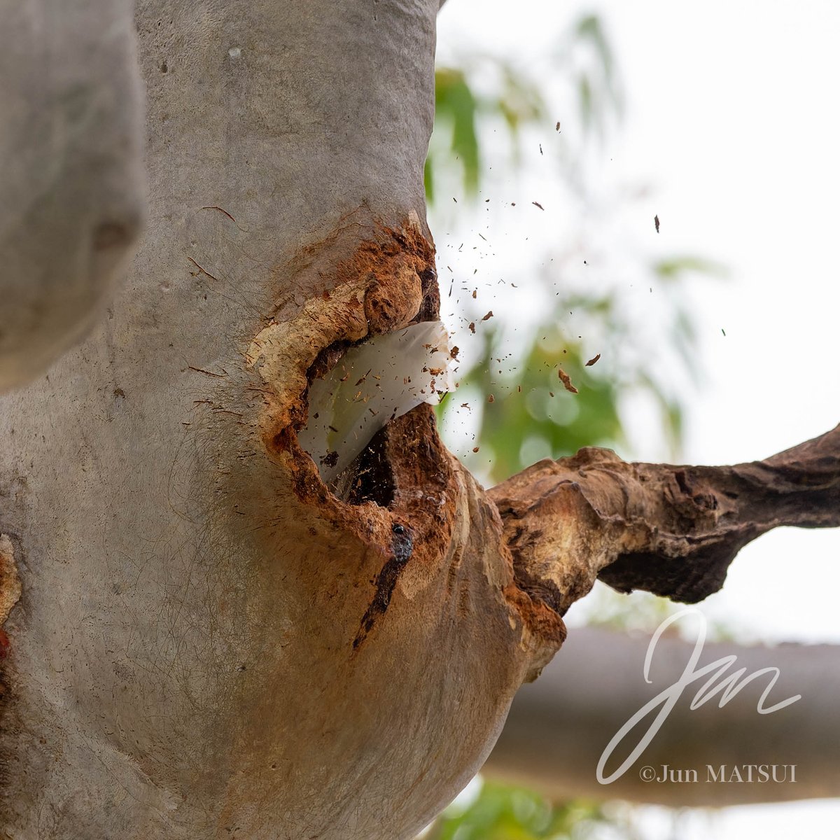 Jun MATSUI tweet media