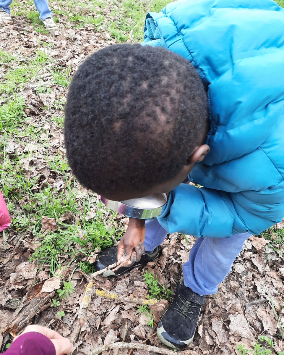 Lleida en verd tweet media