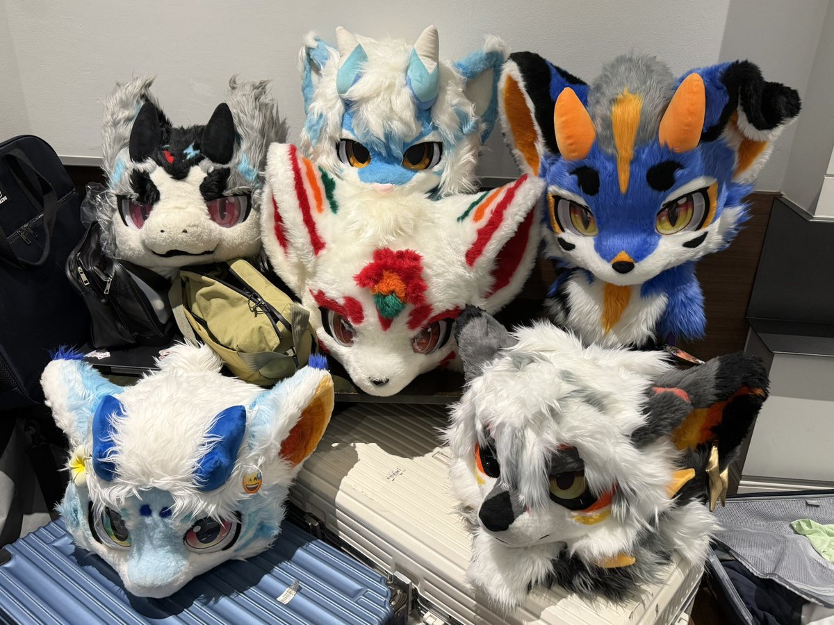 珞珞Lolo tweet media