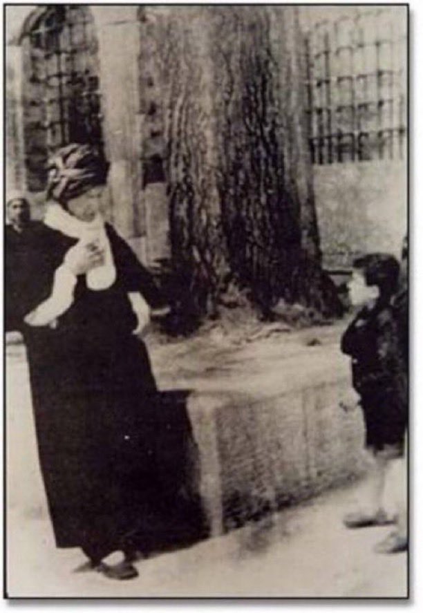 Mahmut Şahin tweet media