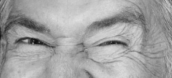 Bufo Calvin tweet media