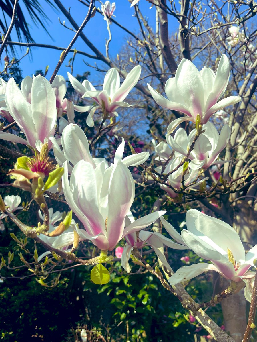 Justin Miles tweet media