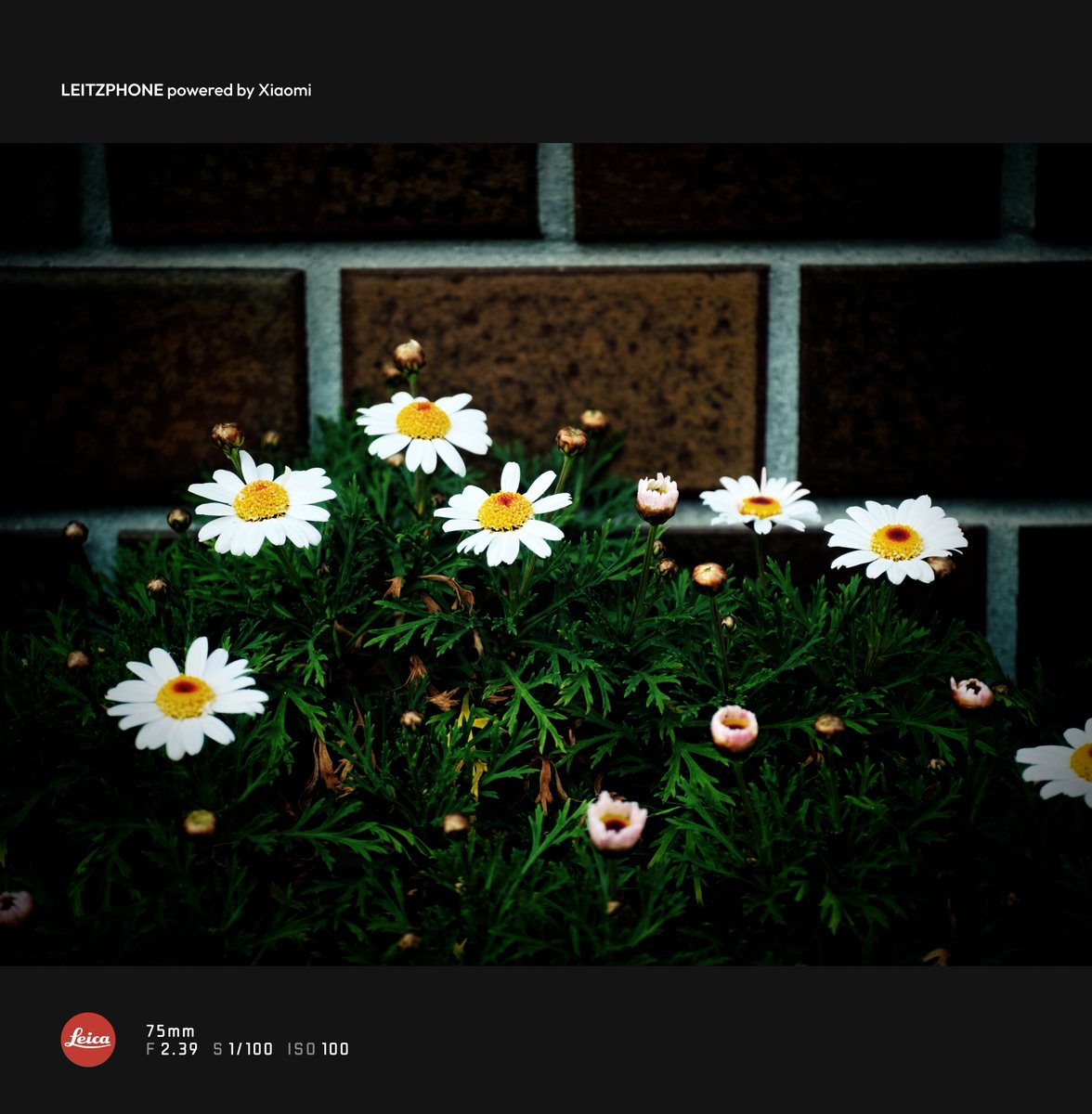 タクヲ tweet media