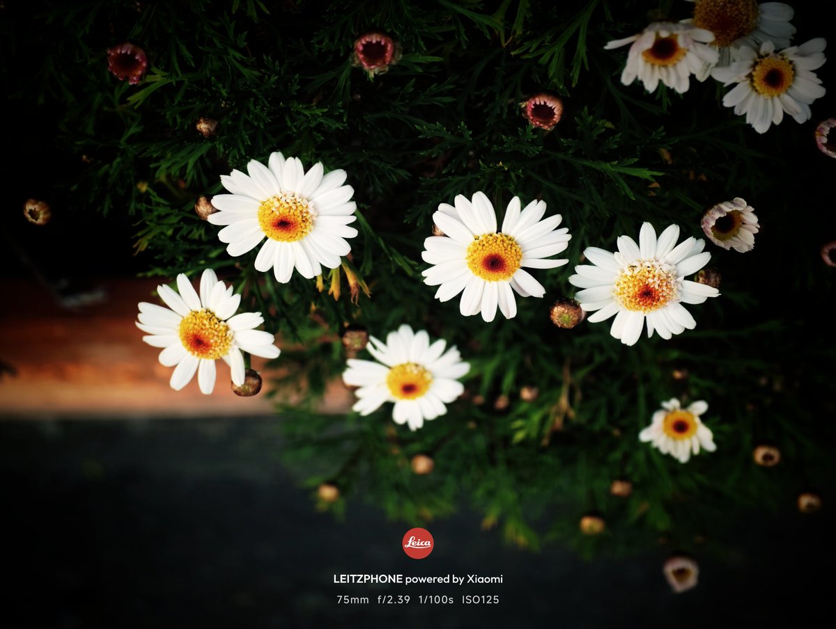 タクヲ tweet media