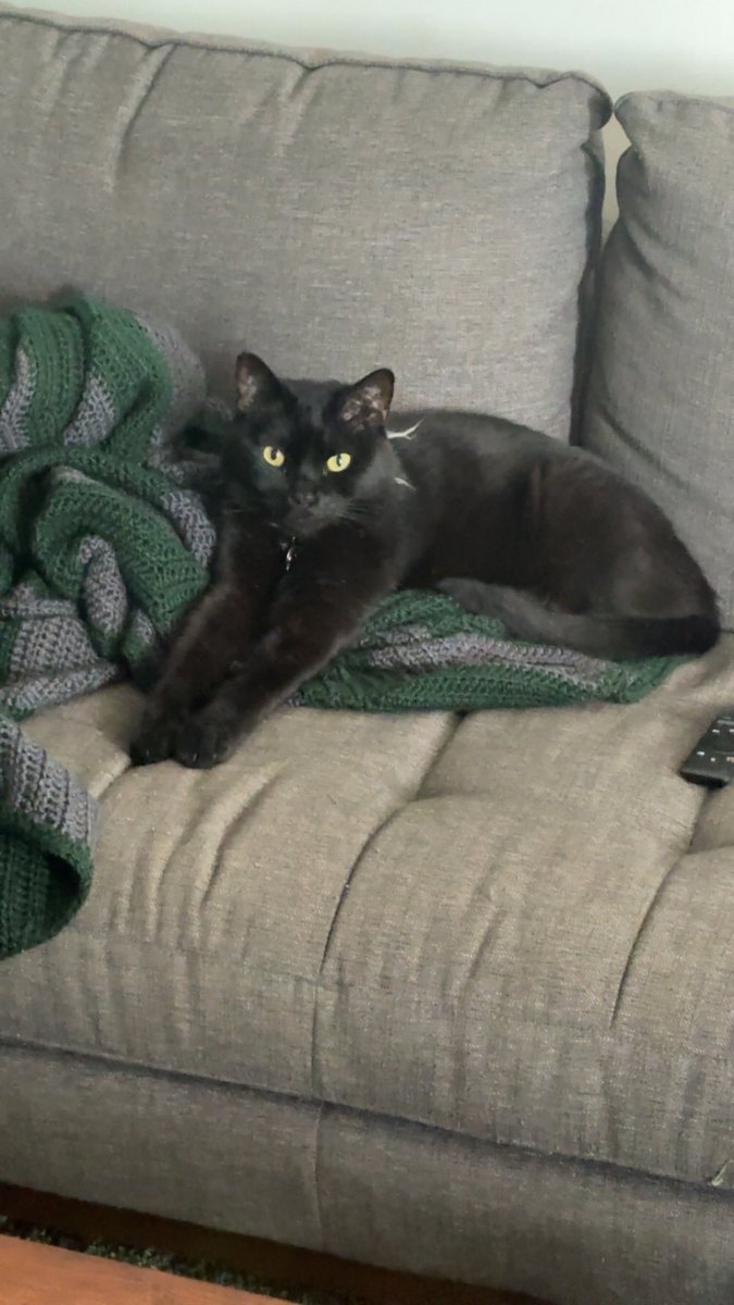 SPACE!!!! tweet media