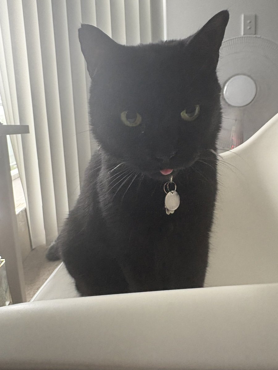 SPACE!!!! tweet media