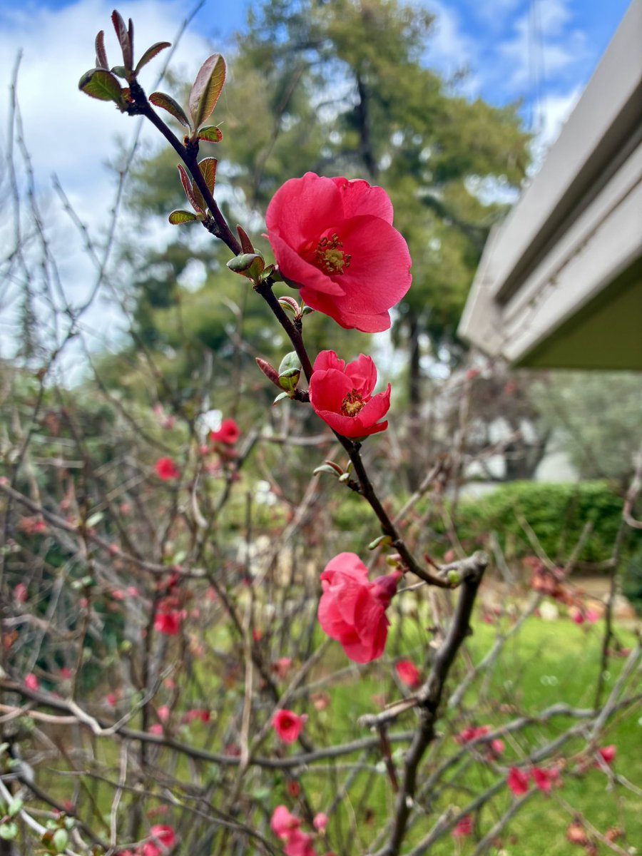 𝙰 𝙳𝚛𝚎𝚊𝚖𝚎𝚛✨💫 tweet media