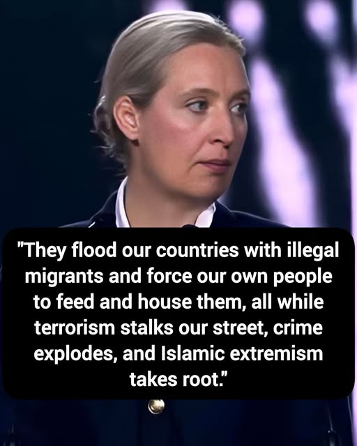 🚨BREAKING: Germany's AfD leader Alice Weidel EXPOSES the EU's globalist elite:
"They flood our countries with illegal migrants and force our own people to feed and house them, all while terrorism stalks our street, crime explodes, and Islamic extremism takes root."
Do you think