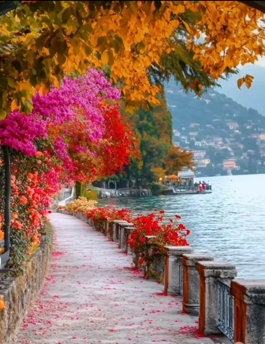 ‏دانــོـــهۧۂ ..👑 tweet media