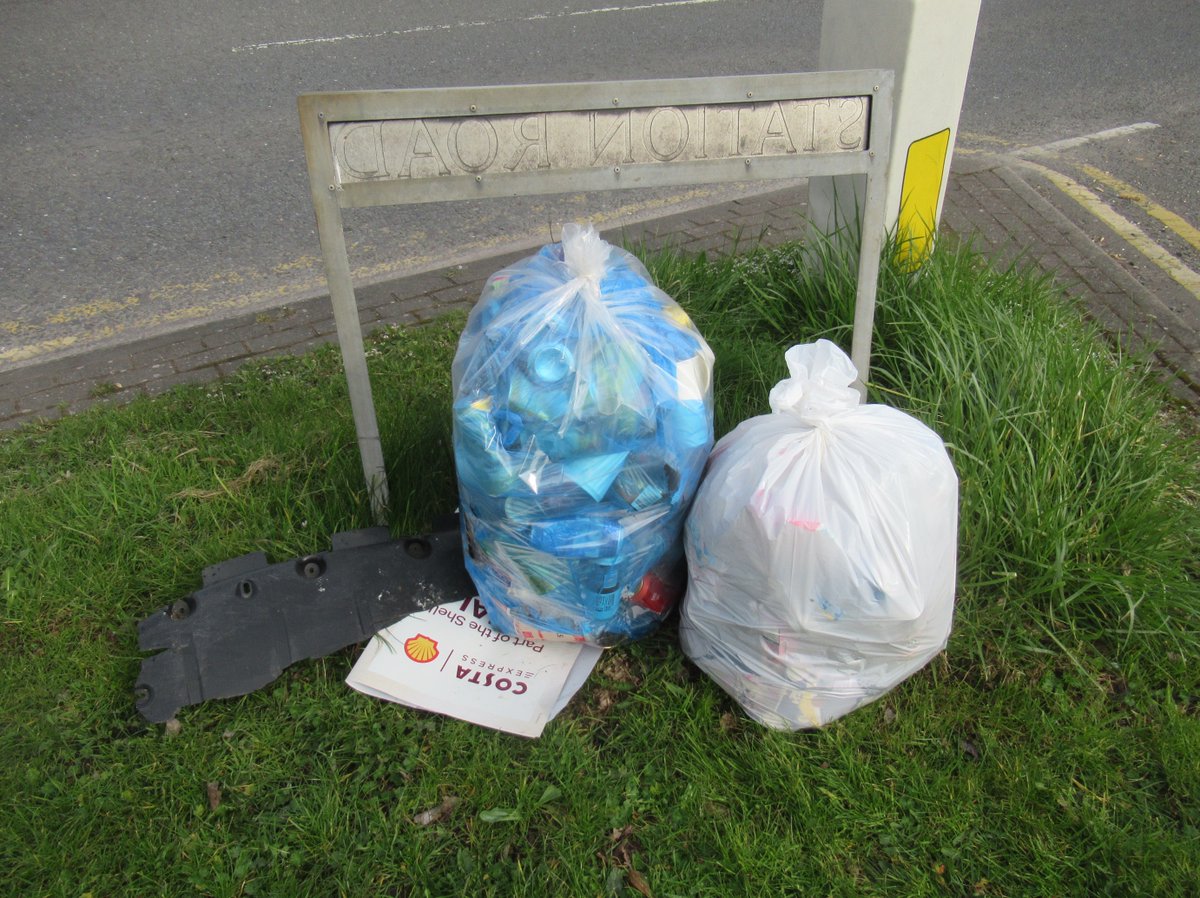 pestelfox tweet media