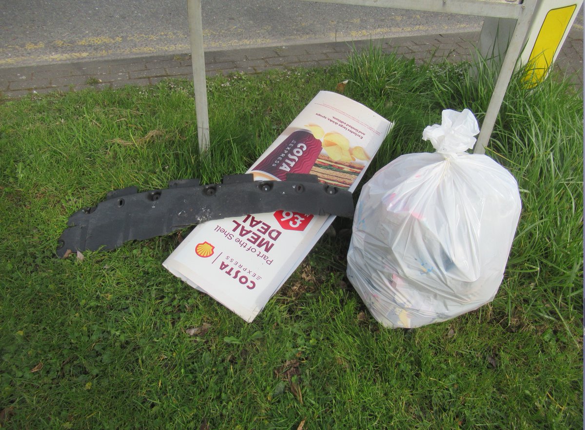 pestelfox tweet media