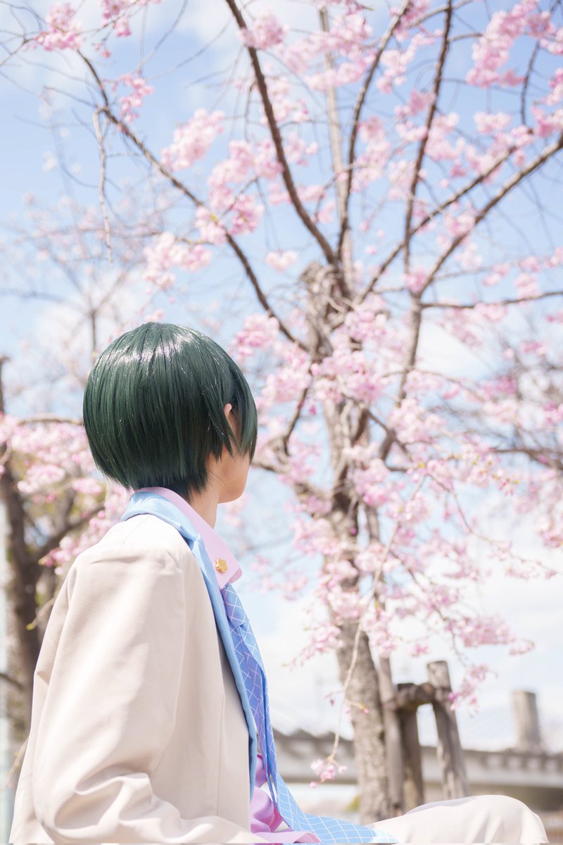 はるほし tweet media