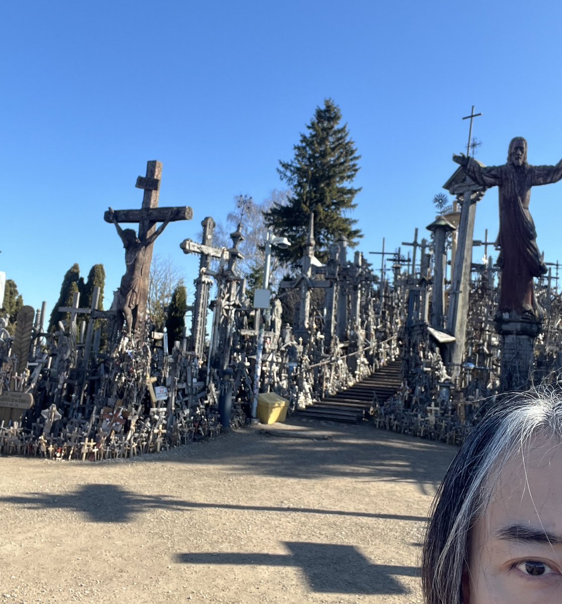 えびさわなおき。 tweet media