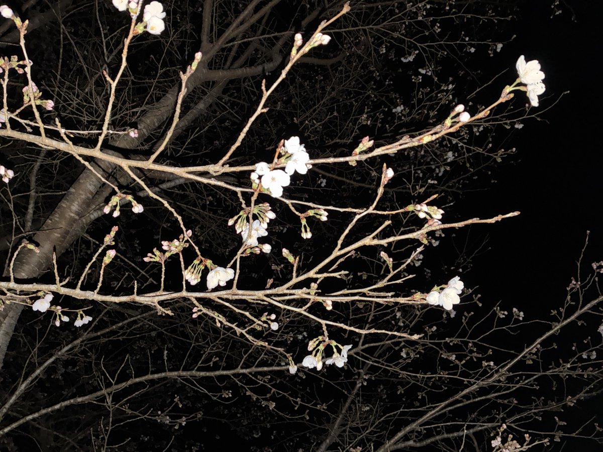 こにし🎗️ tweet media