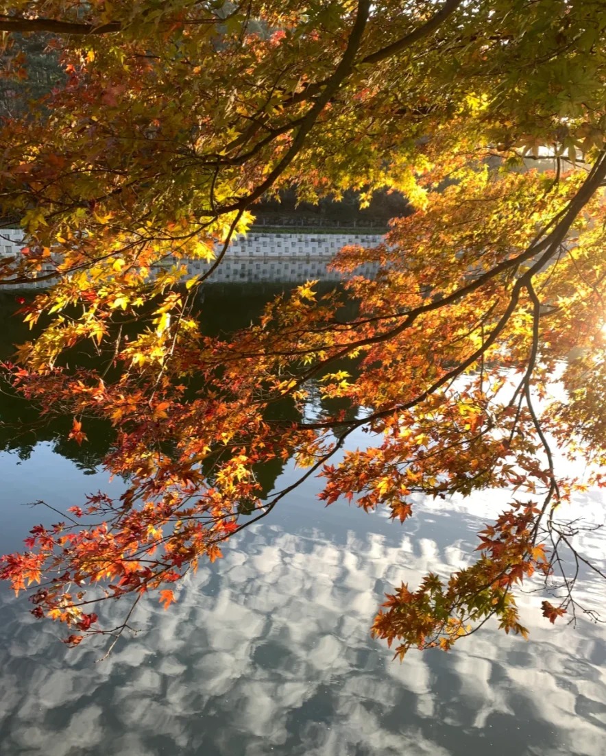 frederic tweet media