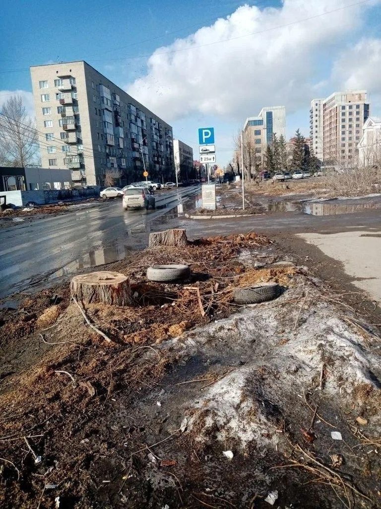 Омское гражданское объединение tweet media