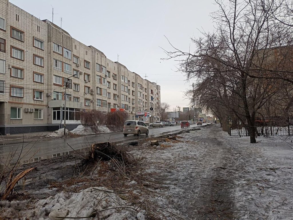 Омское гражданское объединение tweet media