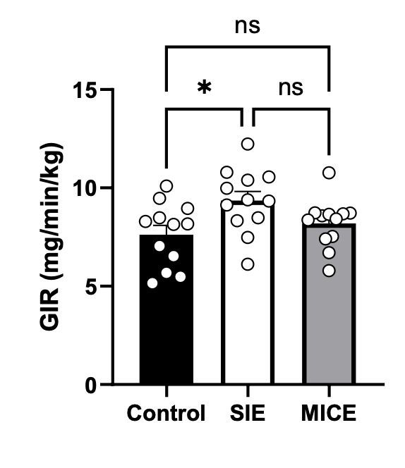 David Bishop (🦋 also bluespotscience.bsky.social) tweet media