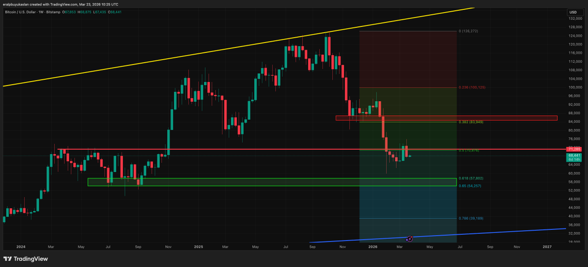 Eralp Büyükaslan tweet media