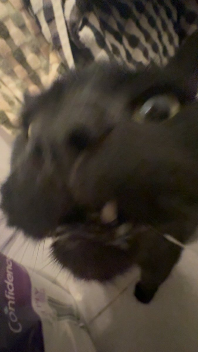 SPACE!!!! tweet media