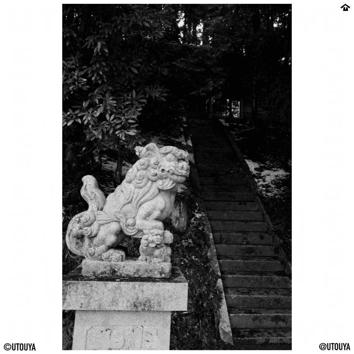 utouya's tweet image. 2015 #ricoh #gr2