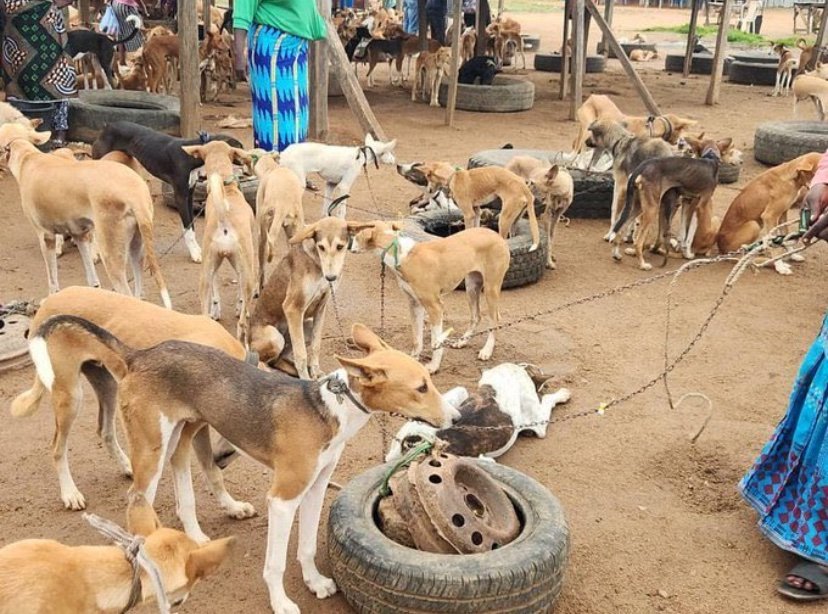 𝗕𝗔𝗥𝗡𝗬 𝗢 tweet media