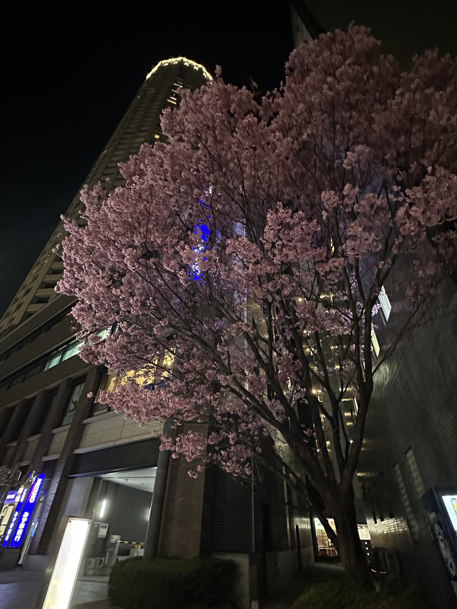 じゅんぺり tweet media