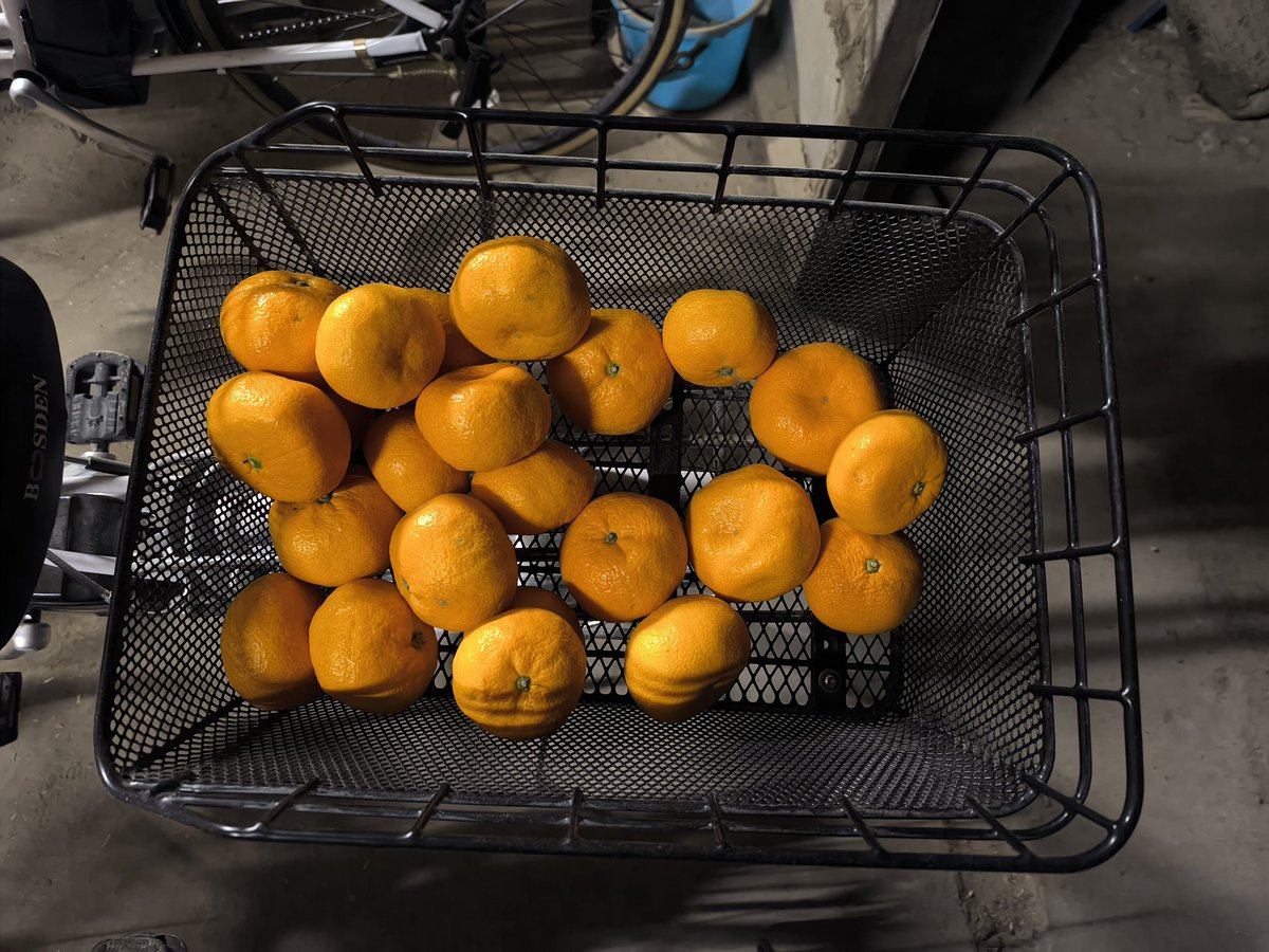 🐢💨 tweet media