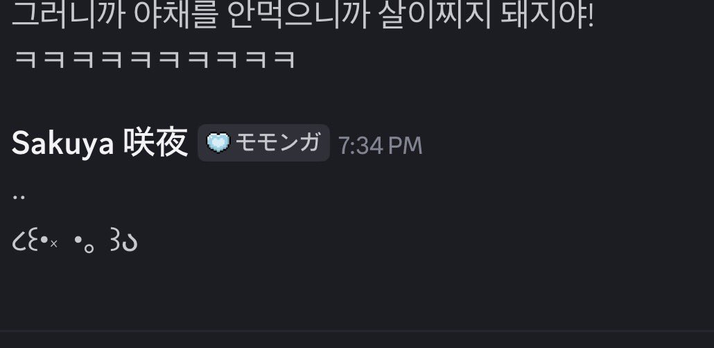 Sakuya 咲夜 tweet media