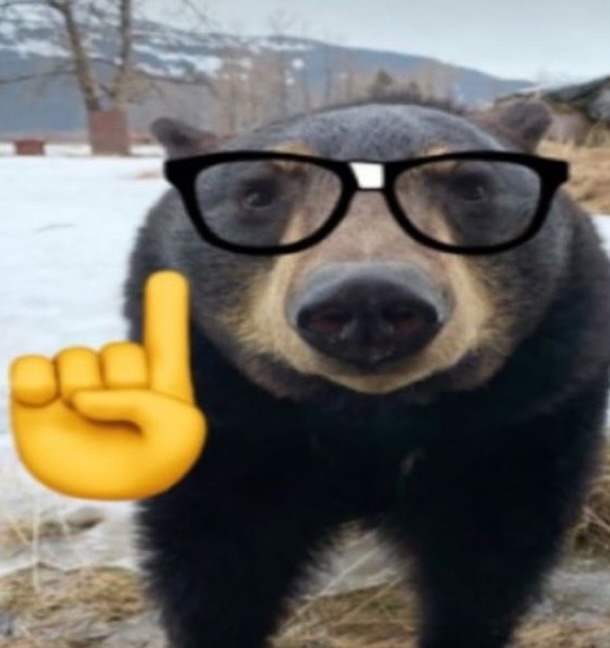 Pooploha tweet media