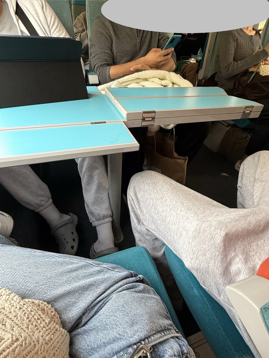 Bichon & Turluron 🌼 tweet media