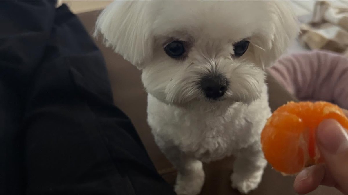 ririri｡｡｡ tweet media