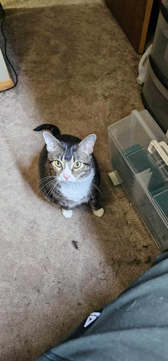 FireFlyPaints tweet media