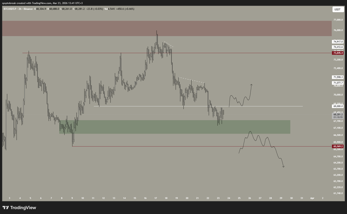 Safa Peçe tweet media