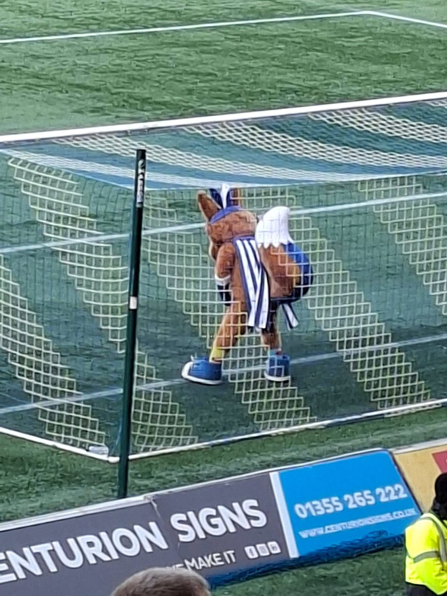 Captain Conker🐿 tweet media