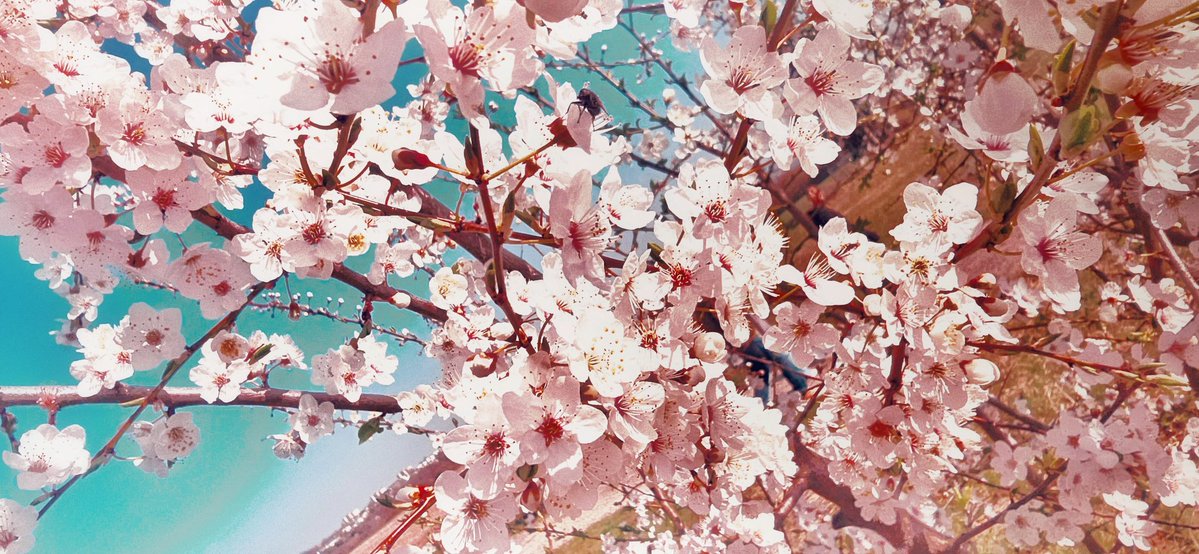 ❥ 𝙄𝙨𝙖 tweet media