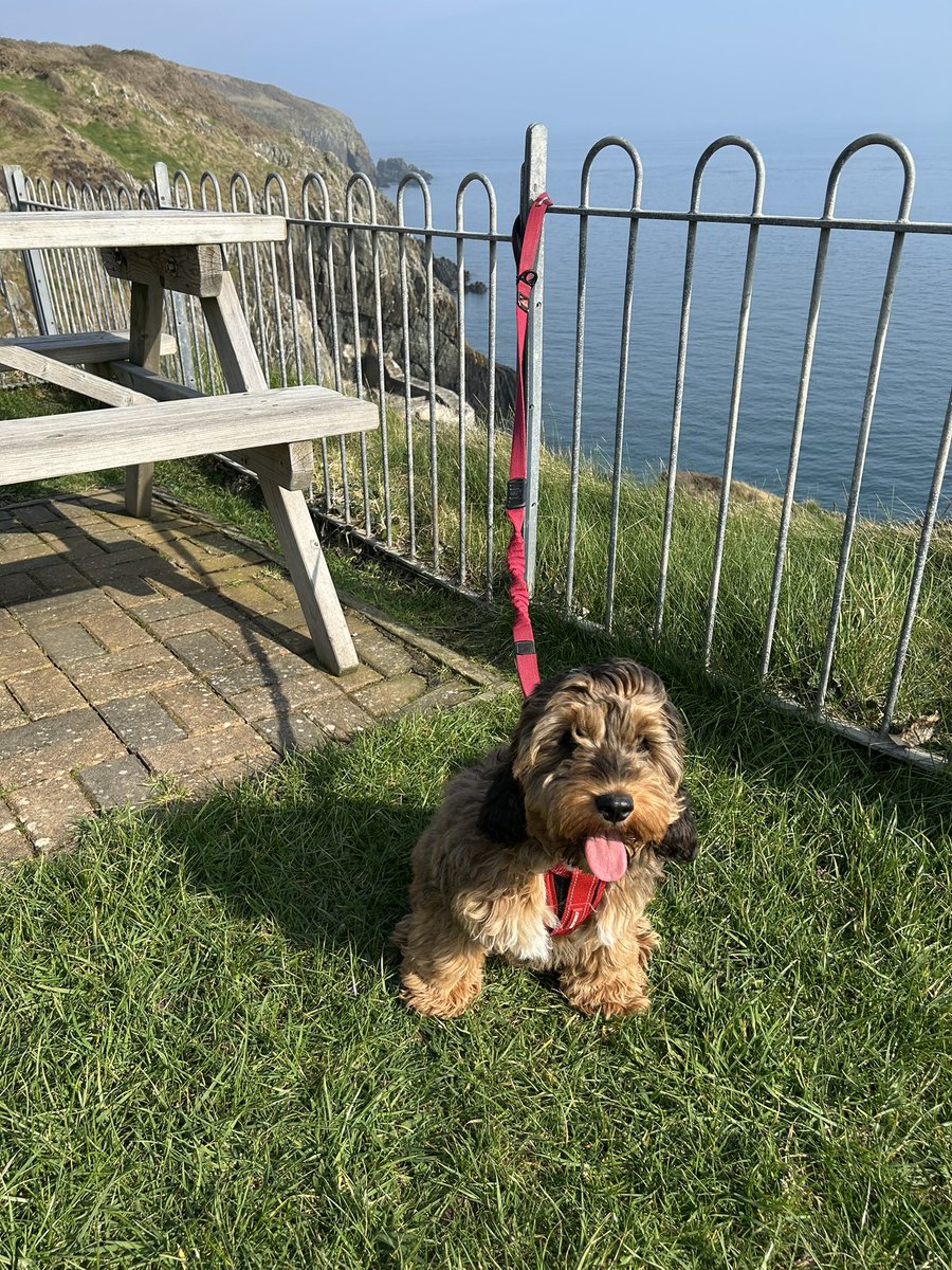 Vicky Christian tweet media