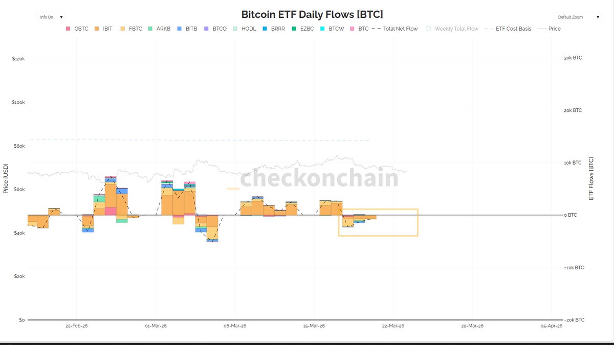 seliseli46 tweet media