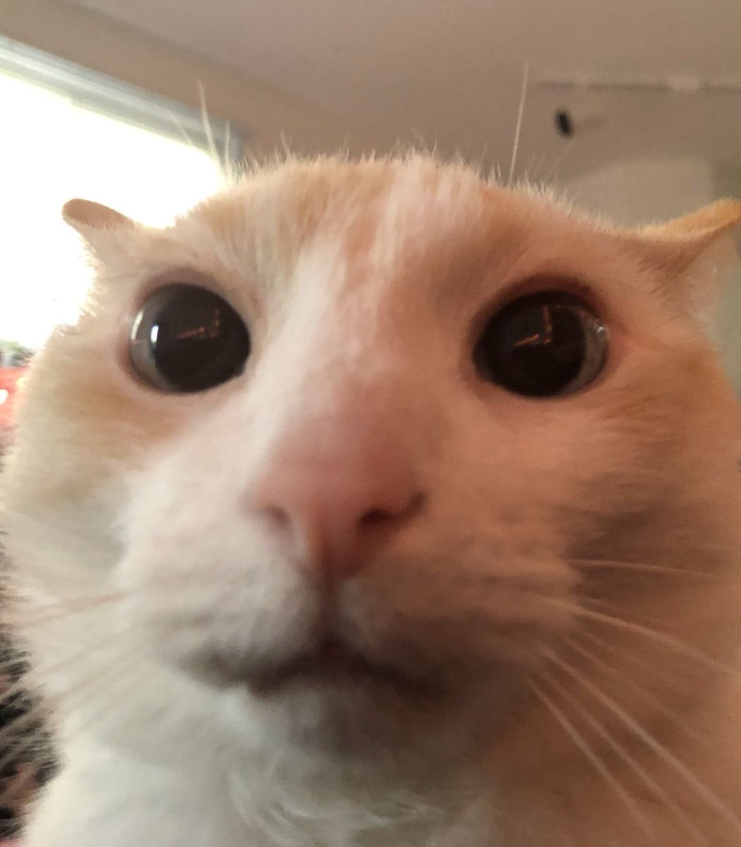 Zortruks tweet media