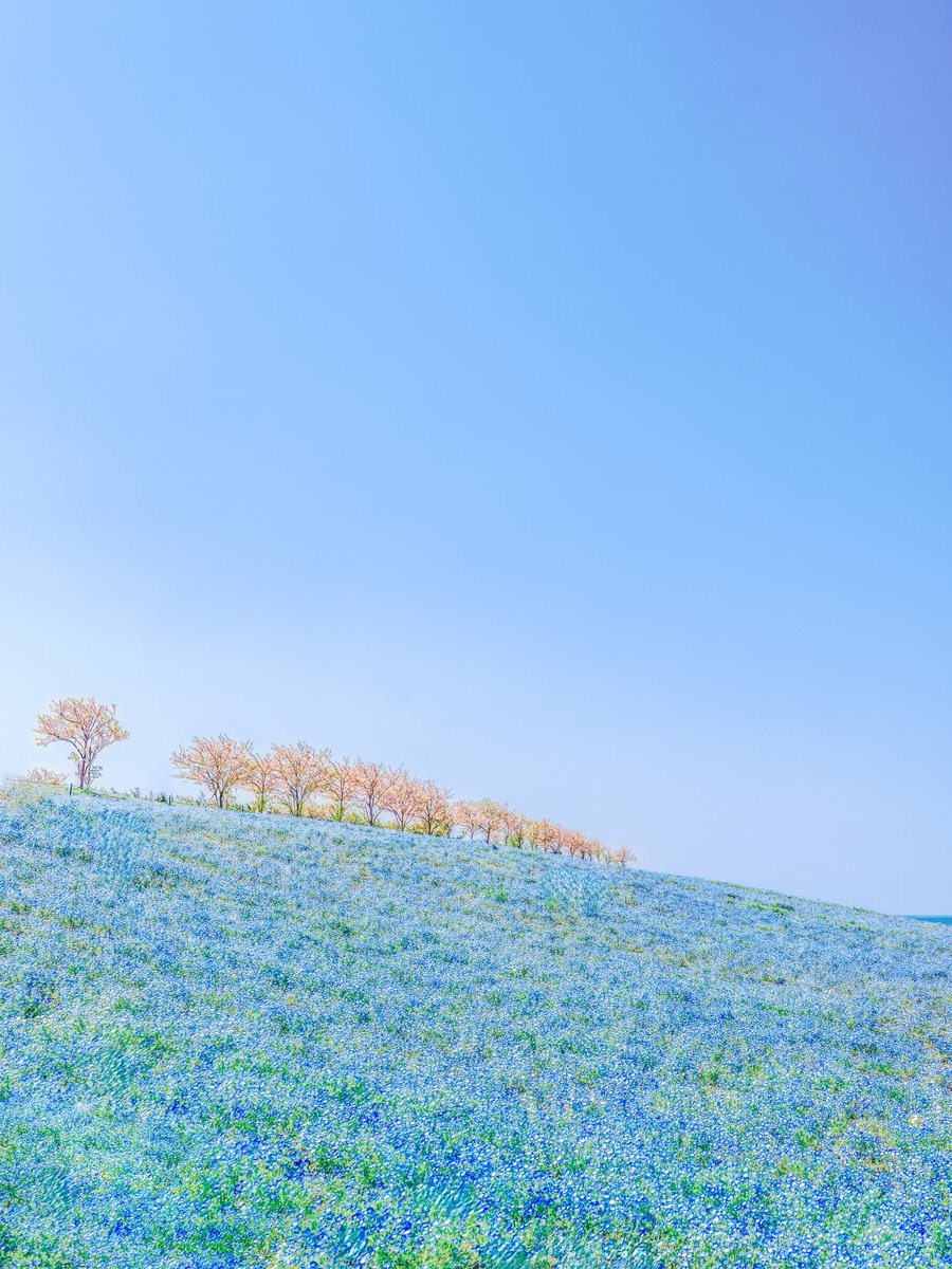 めかぶ tweet media