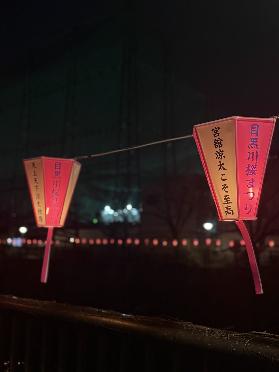 3838_d's tweet photo. 思想強めぼんぼり🌸 https://t.co/dIlY3VHXzc