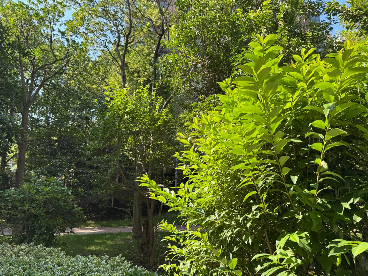 Don Eastep tweet media