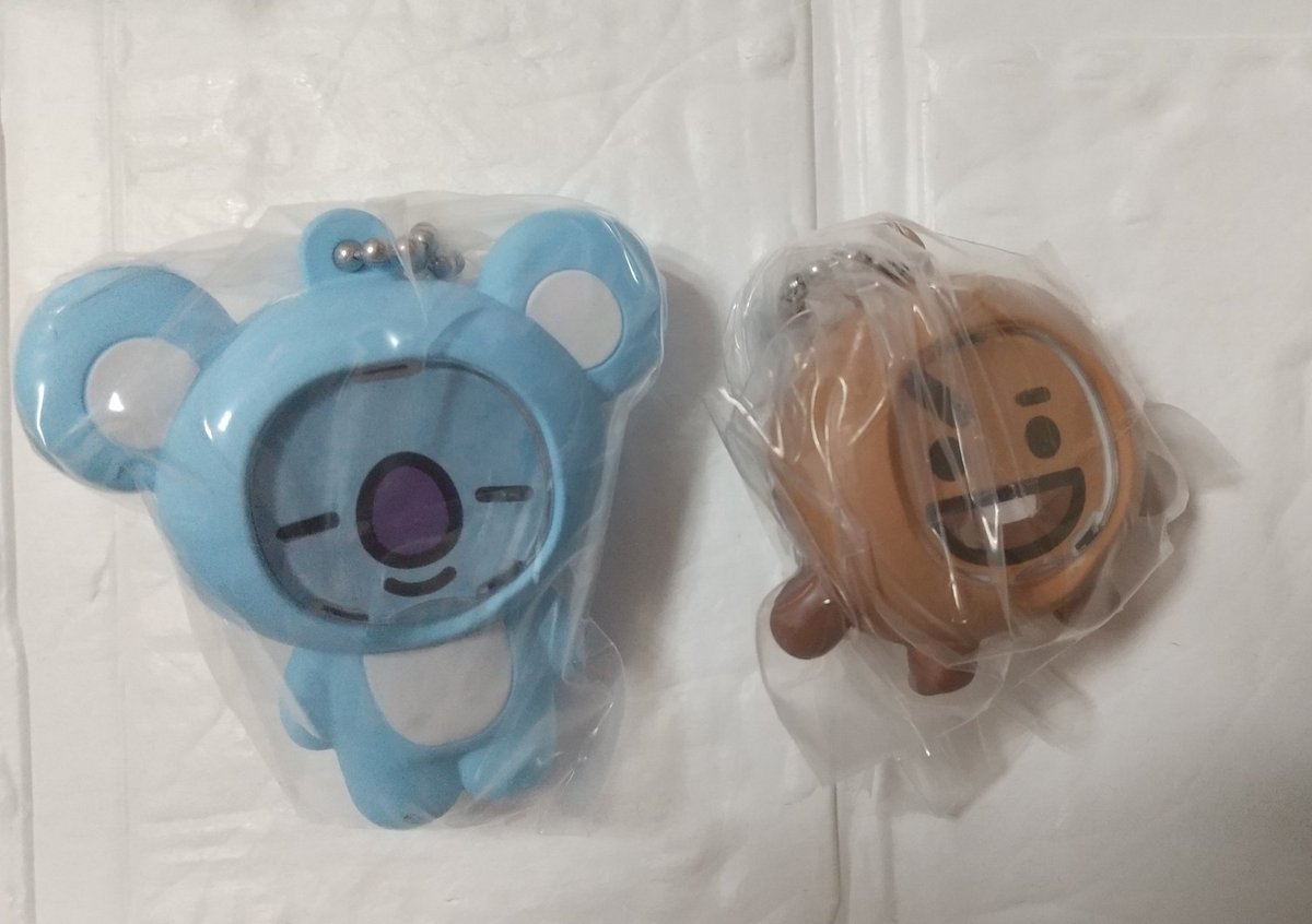 めぐちん 🐰🐥 tweet media