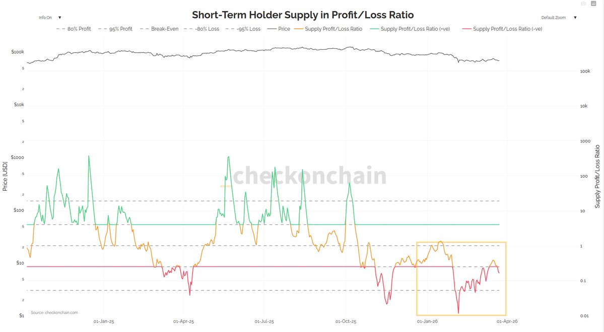 seliseli46 tweet media