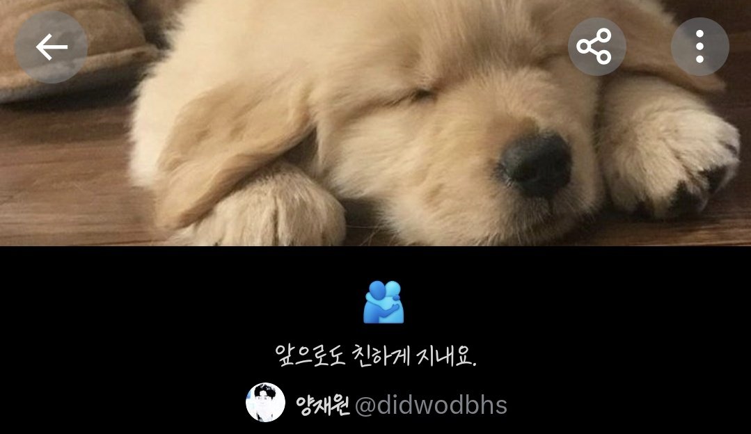 <a href="/didwodbhs/">양재원</a> [🔎 강아지랑 친해지는 법.]