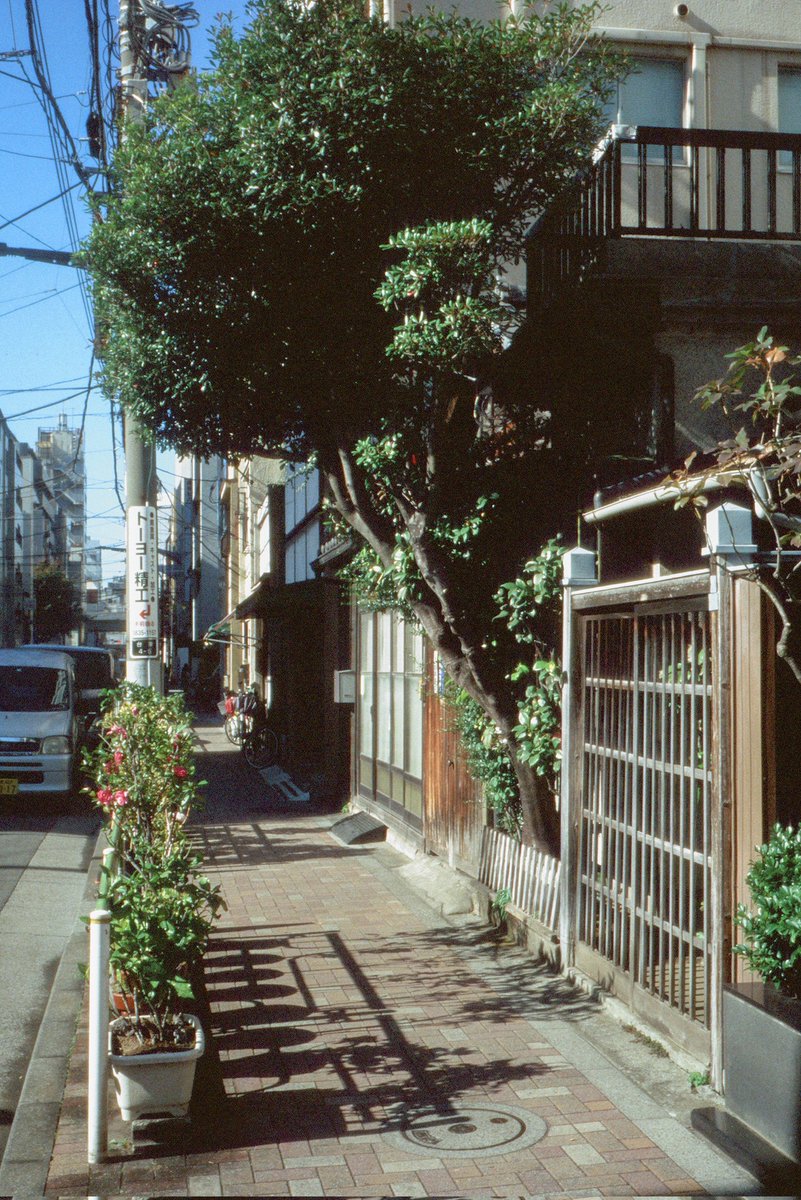 路地とタテモノ tweet media