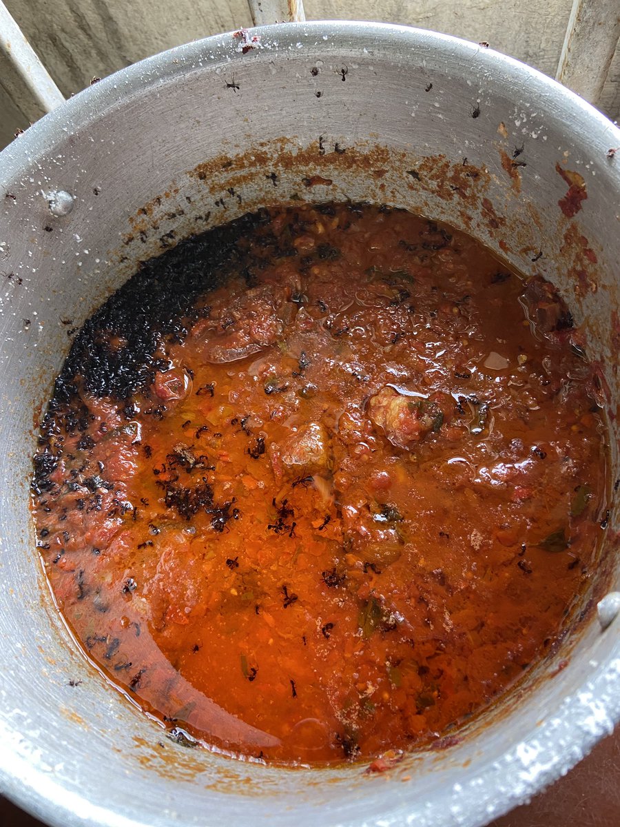 D_GENERAL 🇳🇬👑❤️ tweet media